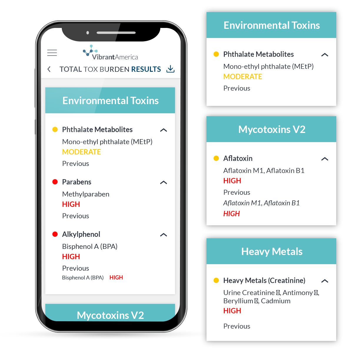 Total Tox Burden Mobile Report